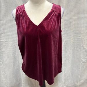 Old Navy Rich Burgundy V-Neck Blouse